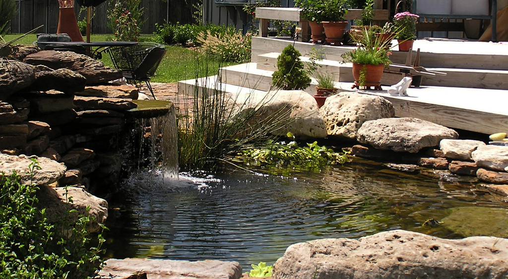 Swimming Pond