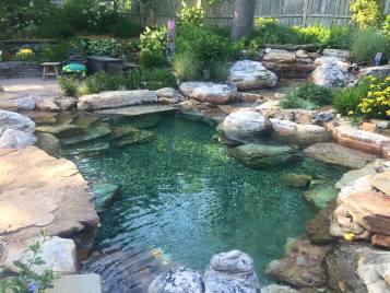 Swimming Pond
